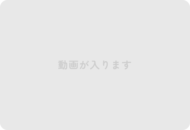 動画が入ります